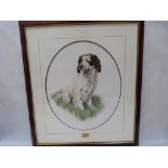 NIGEL HEMMING. BRITISH 20TH/21ST CENTURY A springer spaniel study. Signed and dated '86. Watercolour