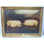 A 20th century copyist oil painting of sows and a print of a sheep after Adamson
