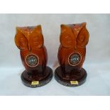 Two Guinness Year 1980 Licensed Victuallers amber glass owl moneyboxes. 13' high. One cracked