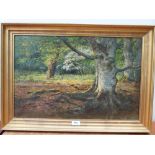 L.H. WILKINSON. BRITISH 20TH CENTURY In The Heart Of The Forest. Signed and inscribed verso. Oil