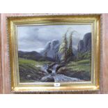 W. BROOK. BRITISH 20TH CENTURY A mountain stream. Signed. Oil on board 15¾' x 19½'