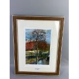 SILVER BIRCH IN SPRING, LIMITED EDITION PRINT