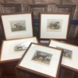 A SET OF FIVE EQUESTRIAN PRINTS