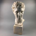 A PLASTER BUST OF A YOUNG ROMAN MALE