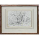 PARK SKETCH ATTRIBUTED TO DAVID COX