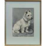 TERRIER, A PASTEL BY MARION HARVEY