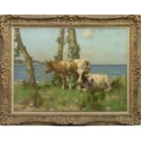 AYRSHIRE COWS RESTING BY THE SEA, AN OIL BY DAVID GAULD