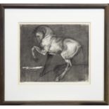REARING HORSE, A CHARCOAL SKETCH BY GREGORY RANKINE