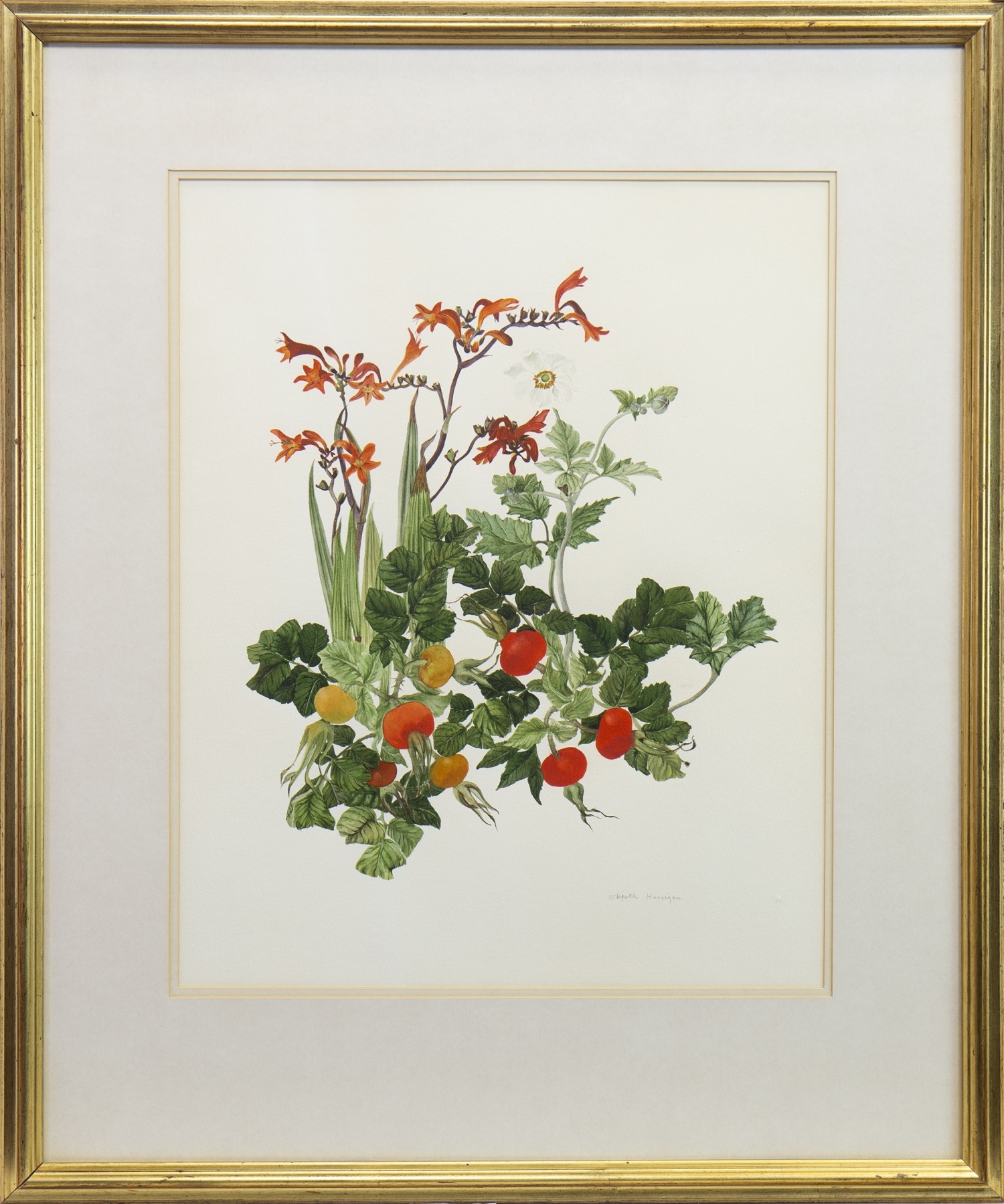 ROSEHIPS AND FLOWERS, A WATERCOLOUR BY ELSPETH HARRIGAN