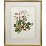 ROSEHIPS AND FLOWERS, A WATERCOLOUR BY ELSPETH HARRIGAN