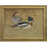 DUCKS, A GOUACHE BY RALSTON GUDGEON