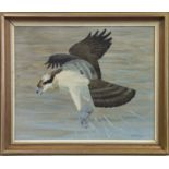 OSPREY, A WATERCOLOUR BY RALSTON GUDGEON