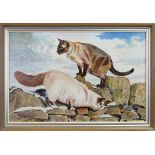 SIAMESE CATS, AN OIL BY MUREL FIFE FAIRLIE