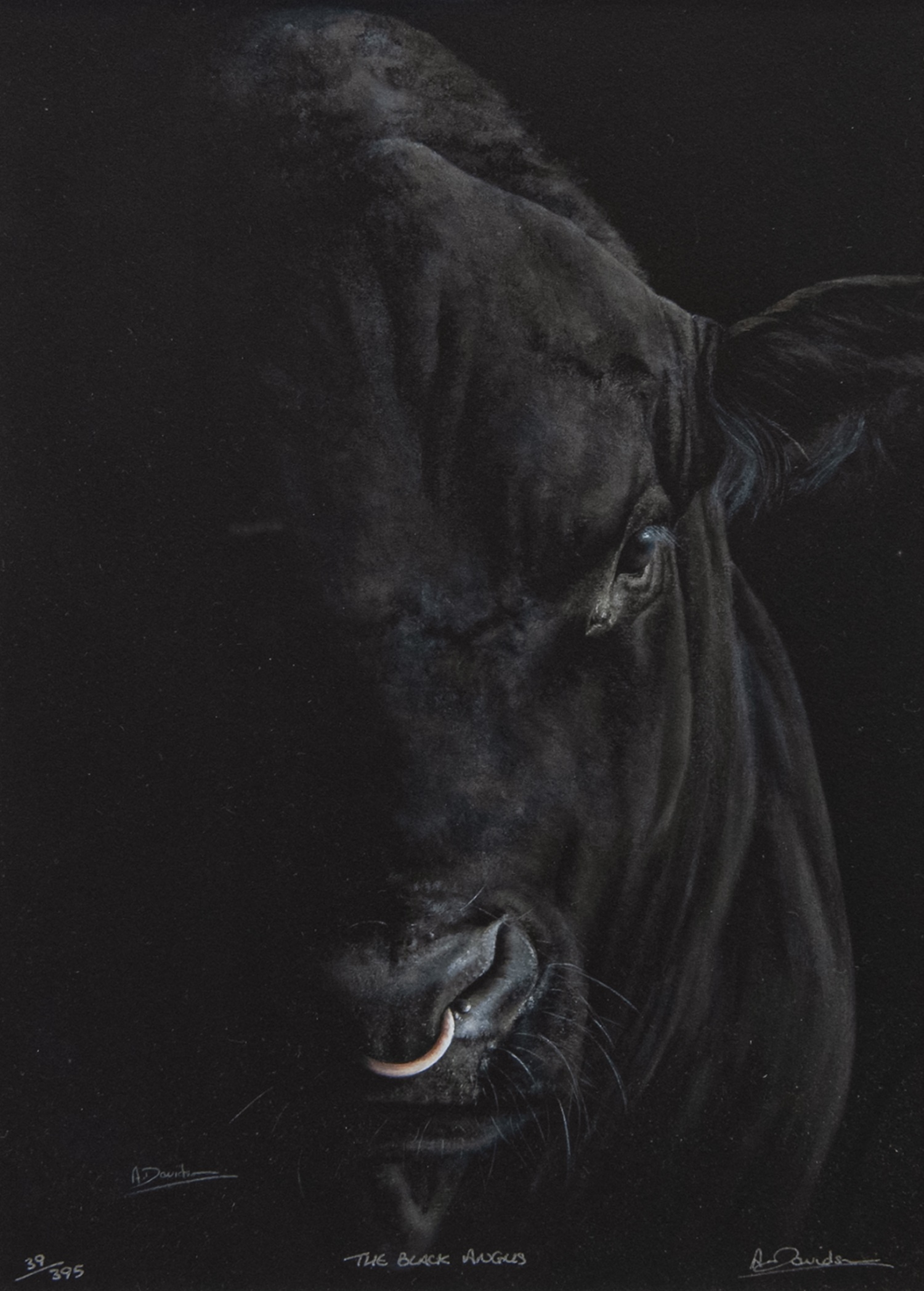 THE BLACK ANGUS, A LIMITED EDITION PRINT BY A. DAVIDS - Image 2 of 2