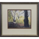 WOODLAND SCENE II, A WATERCOLOUR BY ANNE BROWN