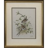 A PAIR OF WRENS, A PRINT BY ERIC PEAKE