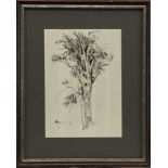 TREE SKETCH, A PEN AND INK SKETCH BY WILLIAM CROSBIE