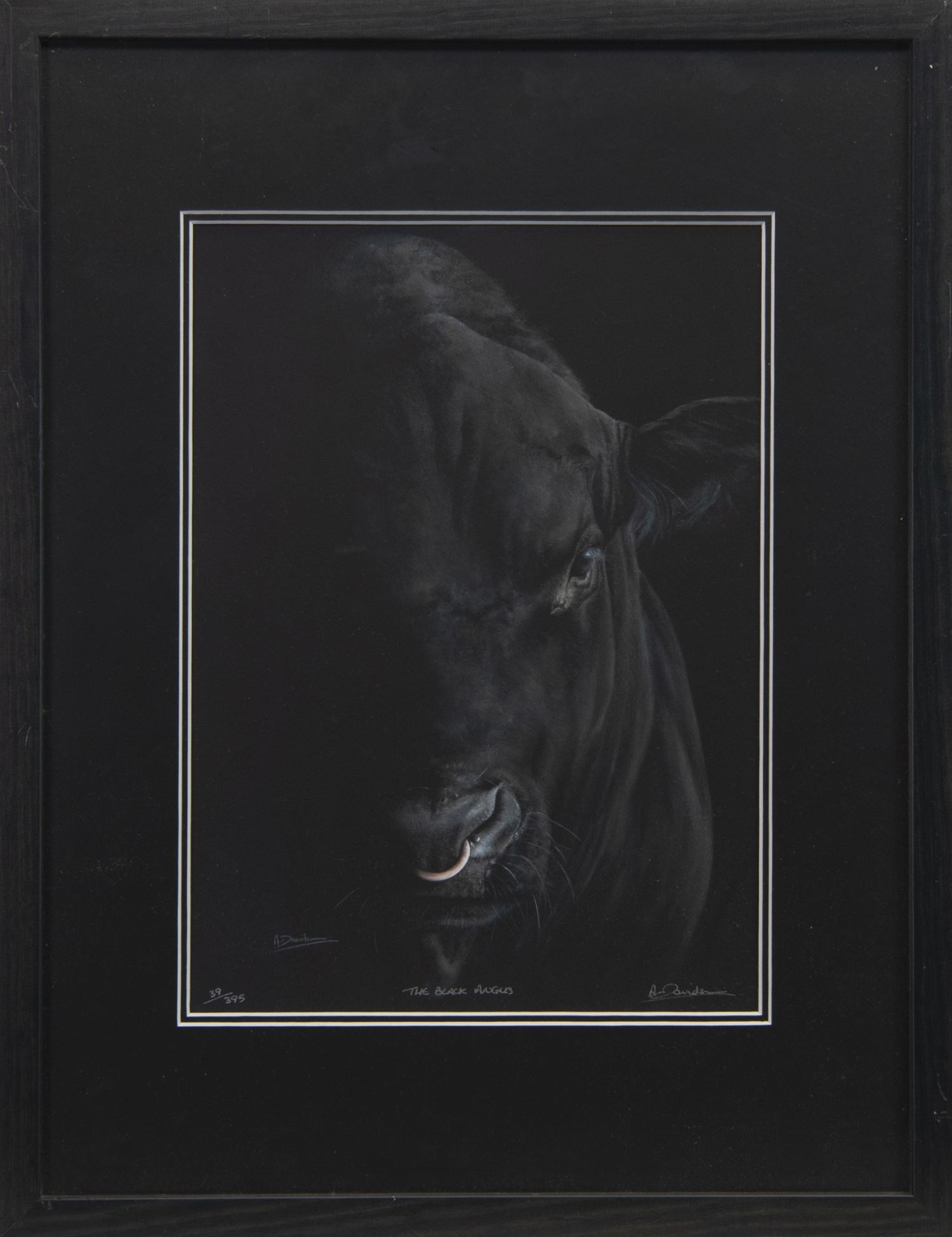 THE BLACK ANGUS, A LIMITED EDITION PRINT BY A. DAVIDS