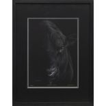 THE BLACK ANGUS, A LIMITED EDITION PRINT BY A. DAVIDS