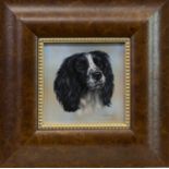 COCKER SPANIEL BECKS, AN OIL BY CARL WHITFIELD