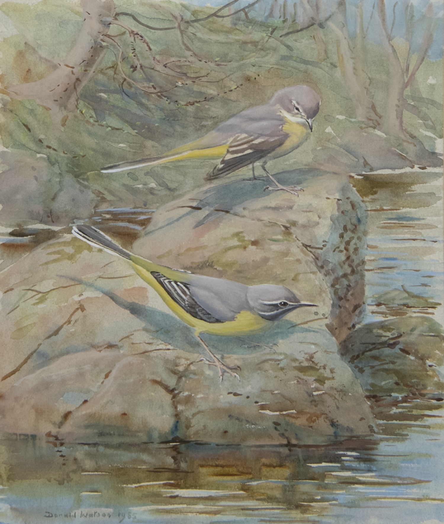 GREY WAGTAILS, A WATERCOLOUR BY DONALD WATSON - Image 2 of 2