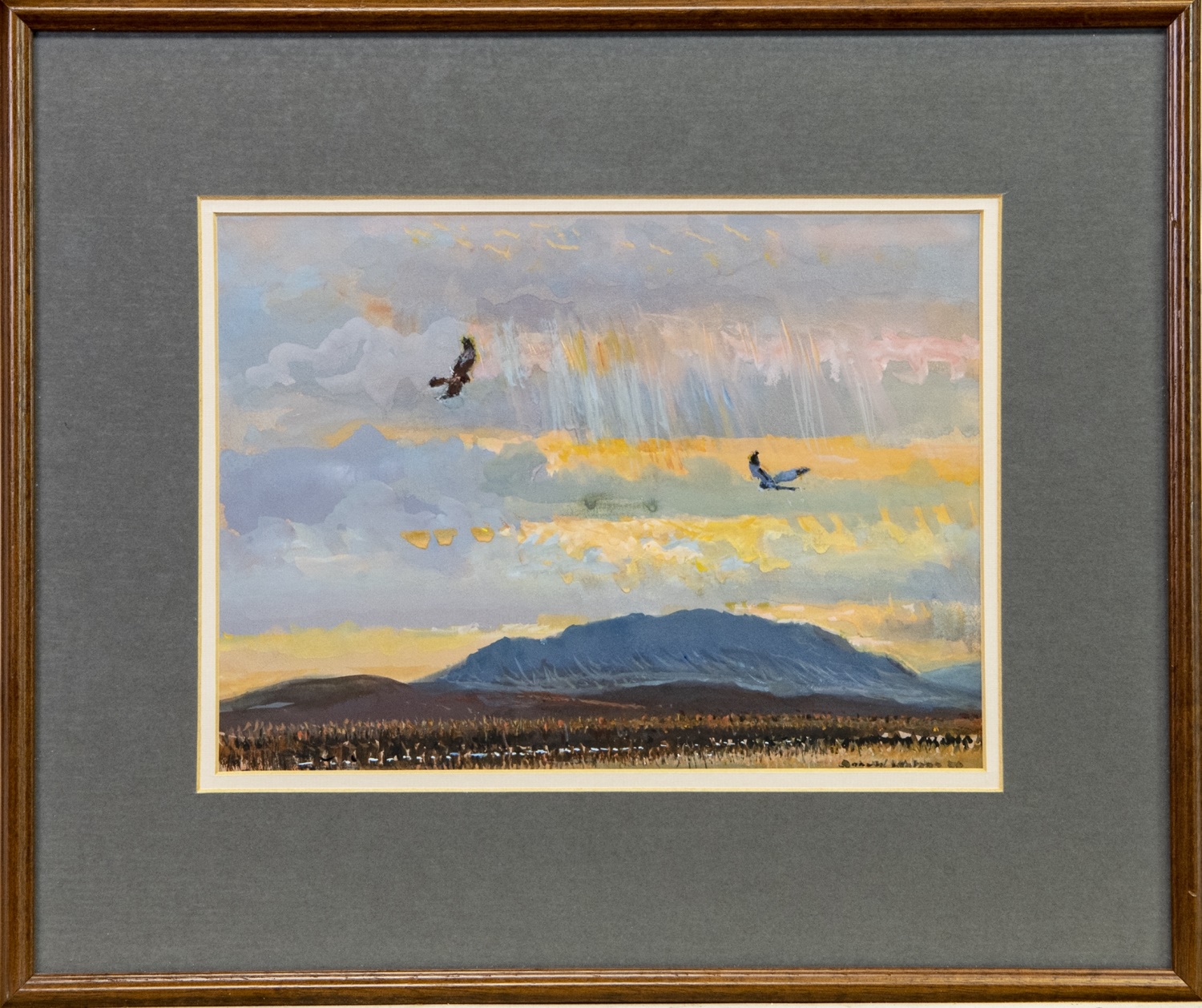 HEN HARRIERS, A GOUACHE BY DONALD WATSON