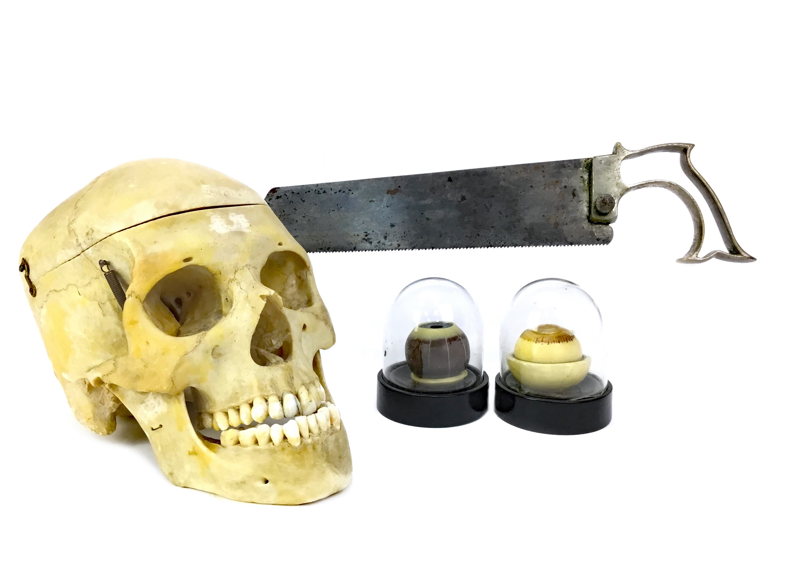 AN ANATOMICAL HUMAN SKULL AND OTHER MEDICAL ARTEFACTS