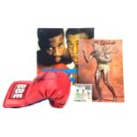 A BBE BOXING GLOVE SIGNED BY FRANK BRUNO