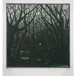 SECRET GREEN HOLLOWAY, A SCREENPRINT BY STANLEY DONWOOD