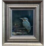 KINGFISHER, AN OIL BY ROS GREEN