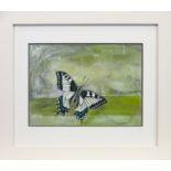 SWALLOWTAIL, AN OIL BY ROS GREEN