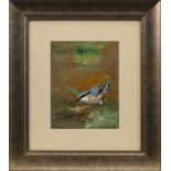 NUTHATCH, AN OIL BY ROS GREEN