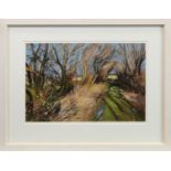 DREW'S PATH, A PASTEL BY DOUGLAS LENNOX