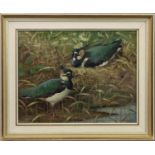 LAPWINGS, AN OIL BY RALSTON GUDGEON