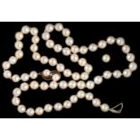 A CULTURED PEARL NECKLACE, PEARLS 0.65 CM DIAMETER, WITH A DIAMOND AND PEARL SET CLASP