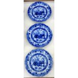 A SET OF SIX VICTORIAN FLOW BLUE IRONSTONE CHUSAN PATTERN PLATES, PROBABLY JOSEPH CLEMENTSON, 22.5CM