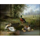 CONTINENTAL SCHOOL, DUCKS ON A POND, WITH SIGNATURE, OIL ON PANEL, 19 X 24.5CM