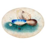 ENGLISH SCHOOL, 19TH C, STILL LIFE OF SHELLS, WATERCOLOUR, OVAL, 13 X 9CM, COASTAL LANDSCAPE,