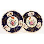 A PAIR OF BLOOR DERBY GILT GADROONED COBALT GROUND PLATES, BOLDLY PAINTED WITH FLOWER SPRAYS, 25.5CM