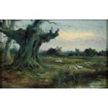 BRITISH SCHOOL, C1900, LANDSCAPES WITH SHEEP, OIL ON BOARD, A PAIR, 14 X 21CM