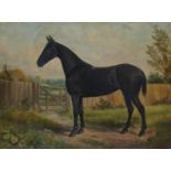 ENGLISH SCHOOL 19TH/20TH CENTURY PORTRAIT OF A HORSE BY A GATE  signed with initials (F.V.S.), oil