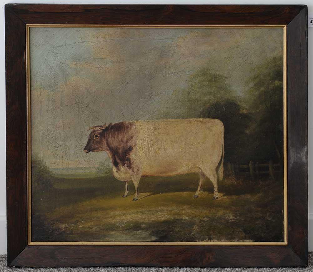 BRITISH SCHOOL, EARLY 19TH C PORTRAIT OF A SHORTHORN COW IN A  LANDSCAPE oil on canvas, 49 x 59cm, - Bild 2 aus 3