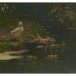 ARNOUT VAN GILST (1898-1982) DUCK AND DUCKLINGS  signed, oil on canvas board, 33.5 x 36cm Ready to