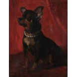 FRENCH SCHOOL, LATE 19TH CENTURY PORTRAIT OF "JESSY", A BLACK AND TAN TOY TERRIER  indistinctly
