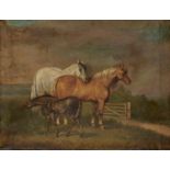 BRITISH SCHOOL, 19TH CENTURY TWO HORSES AND A FOAL BY A GATE  oil on canvas, 45 x 58cm Some damage