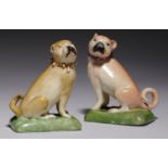 TWO DERBY MODELS OF A PUG DOG, C1820 8 & 8.5cm h Smaller dog - ears very slightly 'nibbled', tail