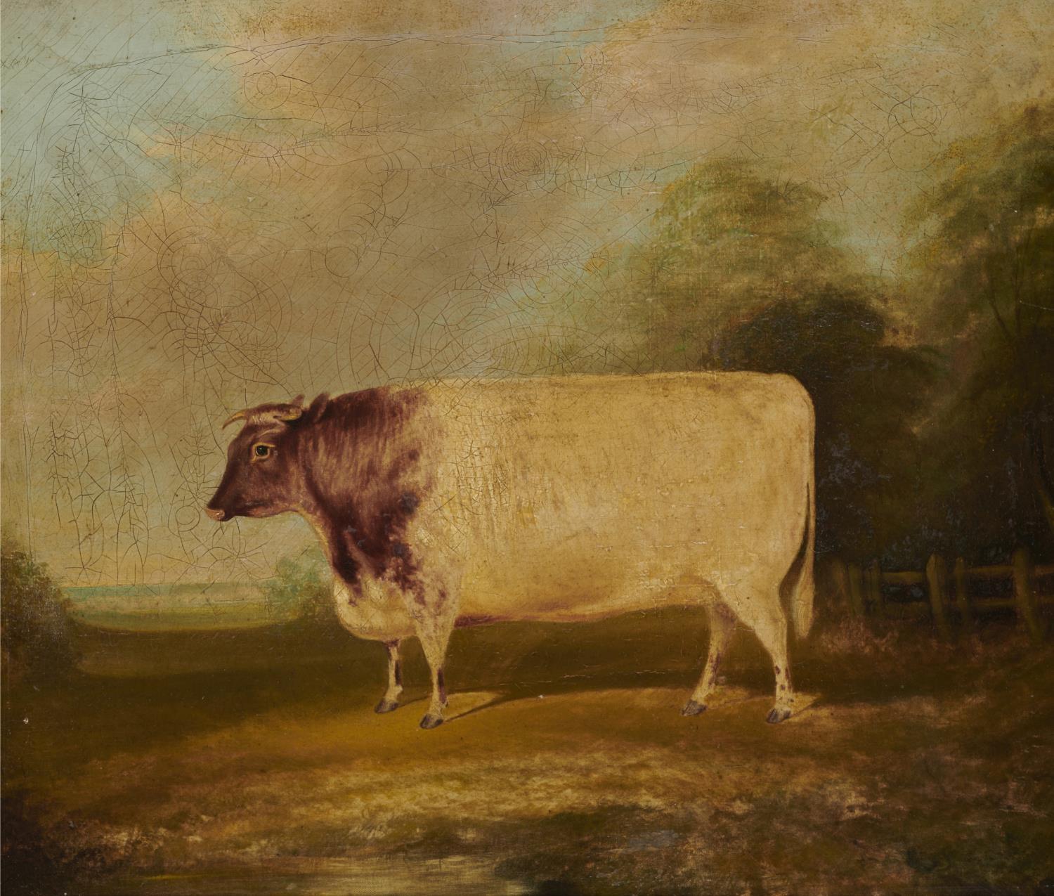 BRITISH SCHOOL, EARLY 19TH C PORTRAIT OF A SHORTHORN COW IN A  LANDSCAPE oil on canvas, 49 x 59cm,