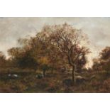BRITISH (?) SCHOOL, LATE 19TH CENTURY FOREST LANDSCAPE indistinctly signed, oil on canvas, 64 x 90