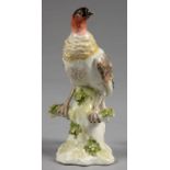 A CONTINENTAL PORCELAIN MODEL OF A PHEASANT, 16.5CM H, SPURIOUS GOLD ANCHOR MARK, 19TH C Some