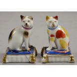 A PAIR OF MINIATURE CONTINENTAL PORCELAIN MODELS OF CATS SEATED ON A BLUE CUSHION, 6CM H, SPURIOUS